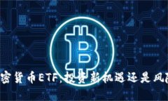 国内加密货币ETF：投资新机遇还是风险重重？