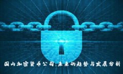 国内加密货币公司：未来的趋势与发展分析