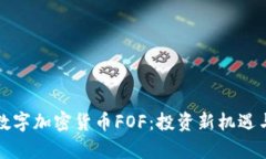 全面解析数字加密货币FOF：投资新机遇与风险挑