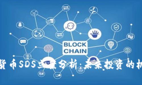 加密数字货币SDS立案分析：未来投资的机遇与挑战