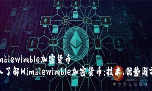 mimblewimble加密货币  
深入了解Mimblewimble加密货币：技术、优势与前景