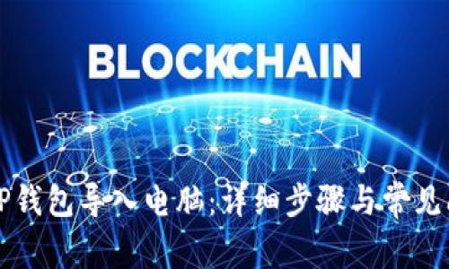 如何将TP钱包导入电脑：详细步骤与常见问题解析