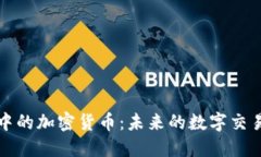 支付系统中的加密货币：未来的数字交易解决方