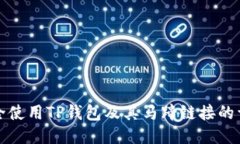 如何安全使用TP钱包及其马蹄链接的详细指南