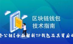 TP钱包是哪个公链？全面解析TP钱包及其背后的区