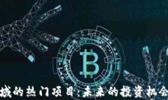 加密货币领域的热门项目：未来的投资机会与风