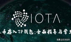 如何将SOL币存入TP钱包：全面指导与常见疑问解答