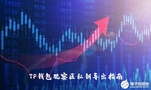 TP钱包观察区私钥导出指南